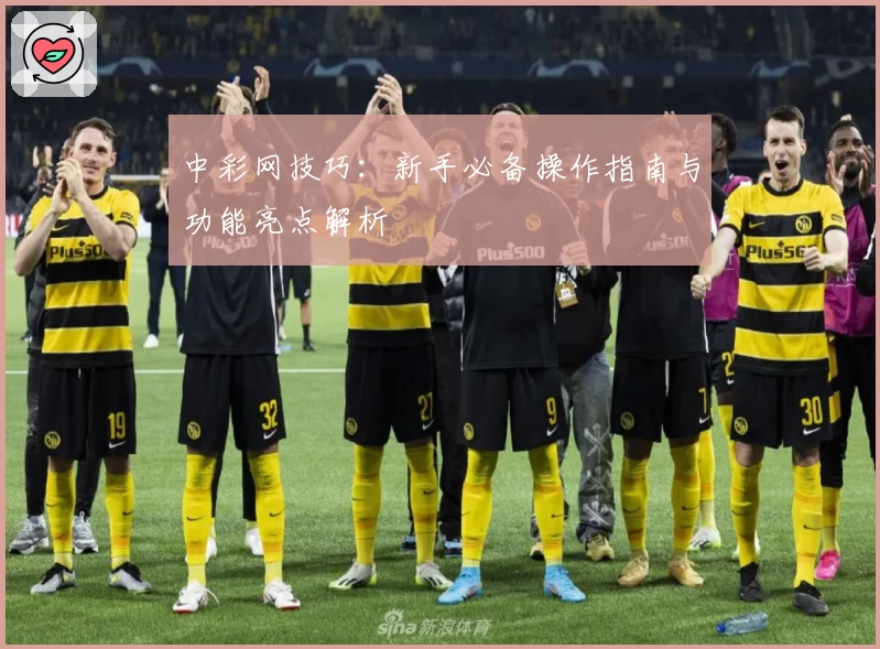 中彩网技巧：新手必备操作指南与功能亮点解析