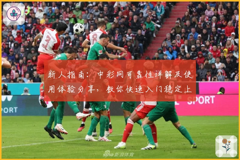 新人指南：中彩网可靠性详解及使用体验分享，教你快速入门稳定上手