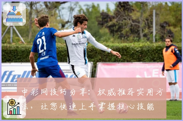 中彩网技巧分享：权威推荐实用方法，让您快速上手掌握核心技能