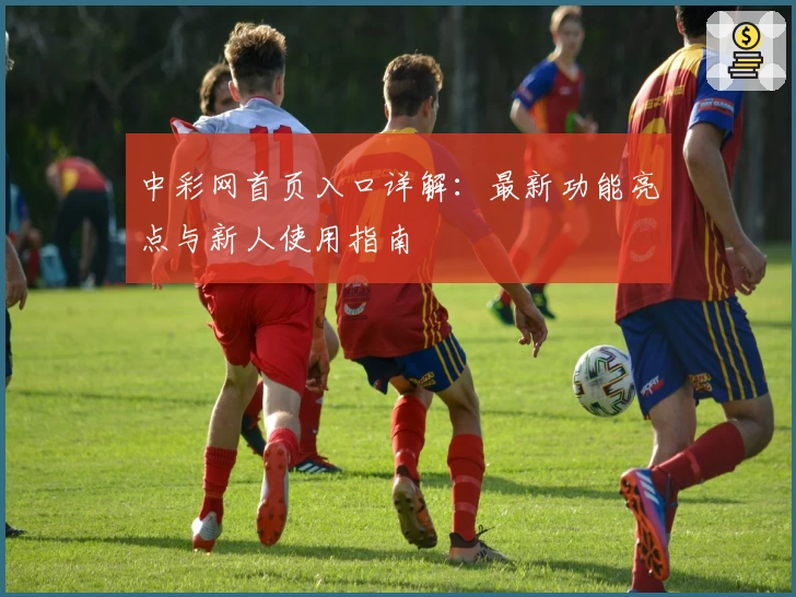 中彩网首页入口详解：最新功能亮点与新人使用指南