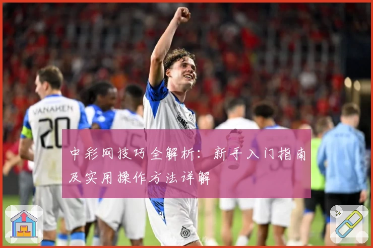 中彩网技巧全解析:新手入门指南及实用操作方法详解