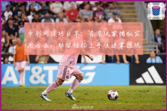 中彩网技巧分享：资深玩家揭秘实用方法，助你轻松上手快速掌握玩法秘诀